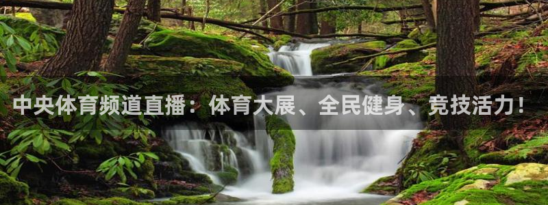 五星体育的直播：中央体育频道直播：体育大展、全民健身、竞技活力！
