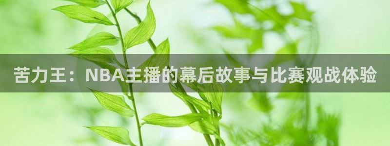 李思哲 五星体育：苦力王：NBA主播的幕后故事与比赛观战体验