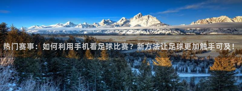 热门赛事：如何利用手机看足球比赛？新