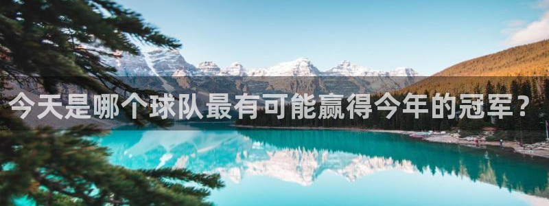 今天是哪个球队最有可能赢得今年的冠军