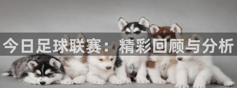今日足球联赛：精彩回顾与分析