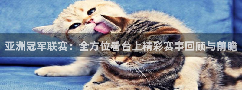  亚洲冠军联赛：全方位看台上精彩赛事回顾与前瞻