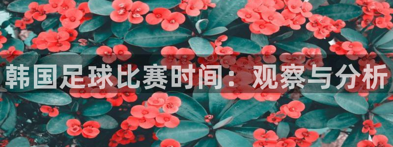 韩国足球比赛时间：观察与分析