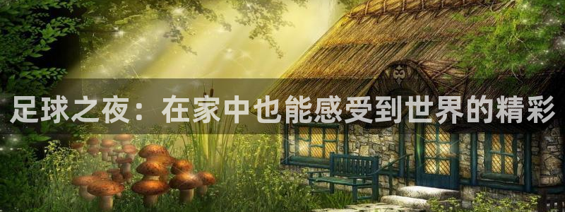 足球之夜：在家中也能感受到世界的精彩