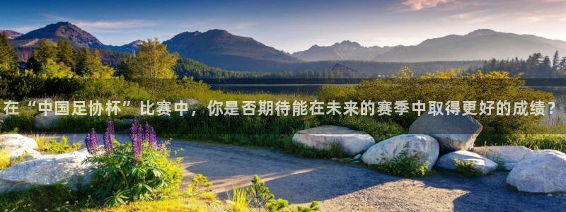 在“中国足协杯”比赛中，你是否期待能在未来的赛季中取得更好的