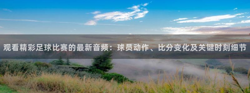 观看精彩足球比赛的最新音频：球员动作