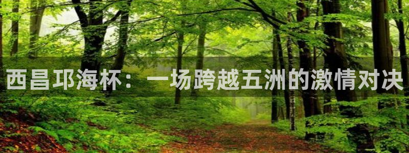 西昌邛海杯：一场跨越五洲的激情对决