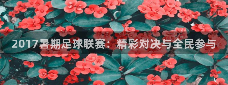 2017暑期足球联赛：精彩对决与全民