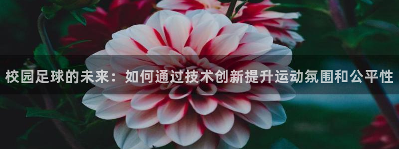 校园足球的未来：如何通过技术创新提升