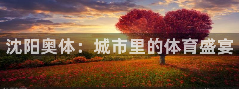  沈阳奥体：城市里的体育盛宴