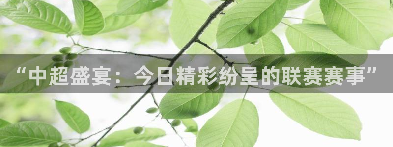 “中超盛宴：今日精彩纷呈的联赛赛事”