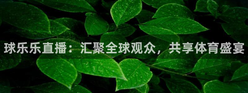 五星体育频道app：球乐乐直播：汇聚全球观众，共享体育盛宴