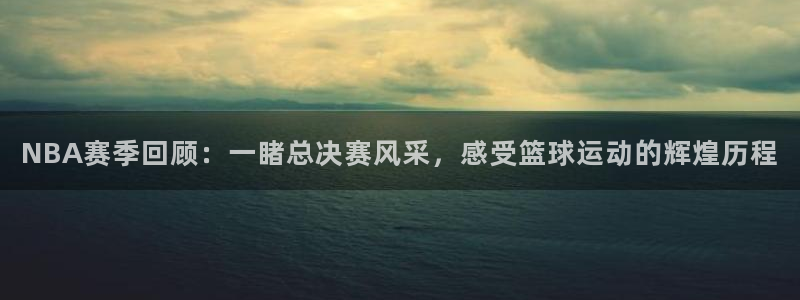 五星体育直播回放观看：NBA赛季回顾：一睹总决赛风采，感受篮球运动的辉煌历程