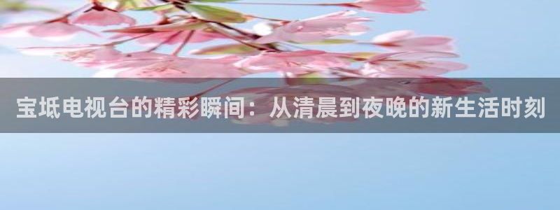 上海五星体育直播观看：宝坻电视台的精彩瞬间：从清晨到夜晚的新生活时刻