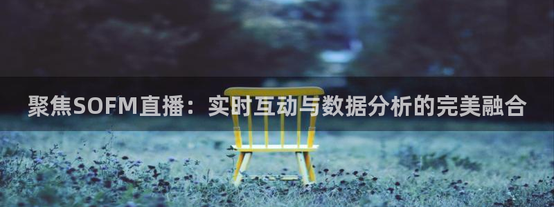 五星体育张效玮几岁：聚焦SOFM直播：实时互动与数据分析的完美融合