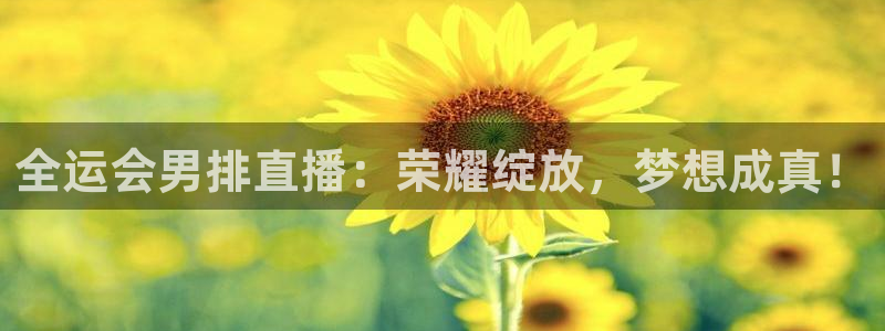 五星体育哪里看得到：全运会男排直播：荣耀绽放，梦想成真！