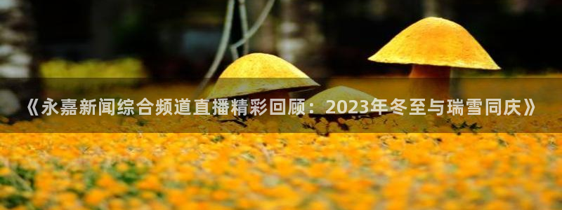 五星体育直播网：《永嘉新闻综合频道直播精彩回顾：2023年冬至与瑞雪同庆》