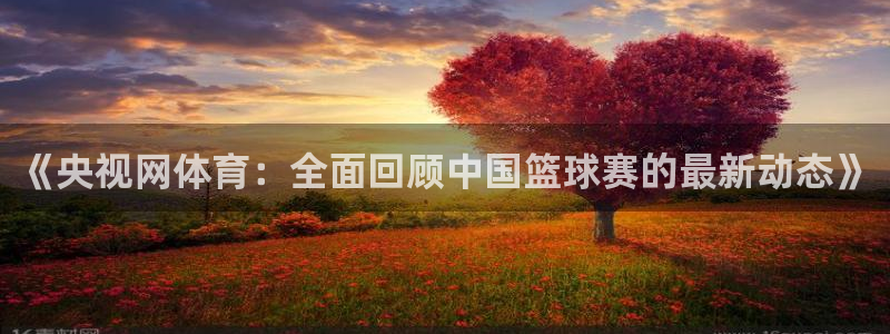 五星体育在线直播免费观看高清：《央视网体育：全面回顾中国篮球赛的最新动态》