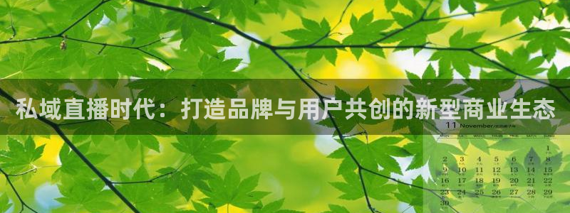 上海广播电视台五星体育频道：私域直播时代：打造品牌与用户共创的新型商业生态