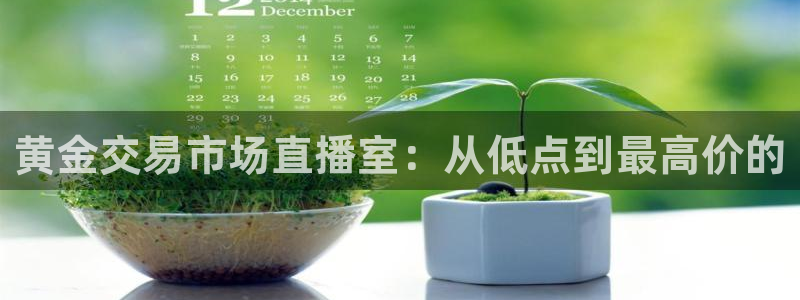 五星体育哪里直播：黄金交易市场直播室：从低点到最高价的