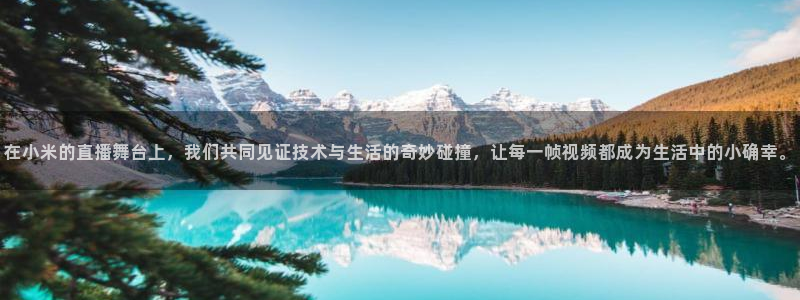 五星体育 李兵：在小米的直播舞台上，我们共同见证技术与生活的奇妙碰撞，让每一帧视频都成为生活中的小确幸。
